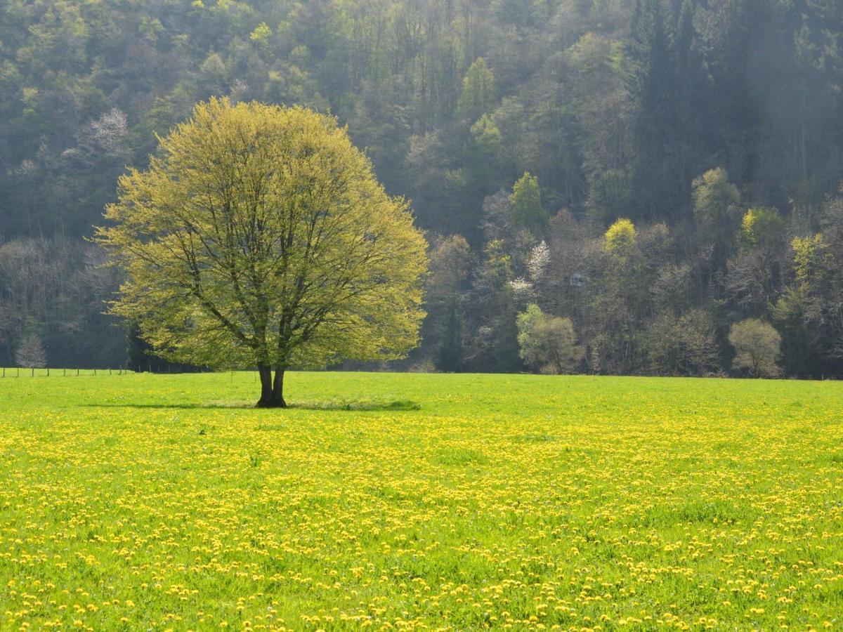 Independant Gite At The Calm Way In The Center Houffalize Εξωτερικό φωτογραφία